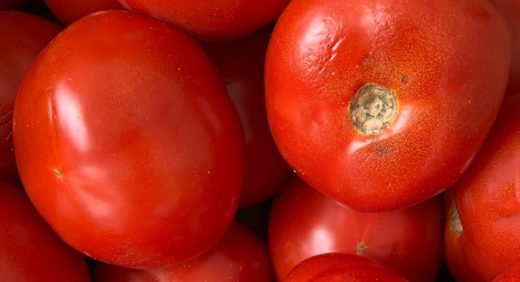 Are Tomatoes Keto? Tomatoes on a Keto Diet: Tips, Recipes, and Substitutes