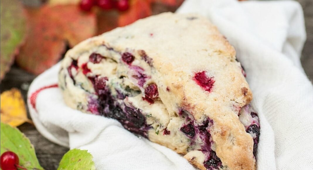 10 Autumnal Scones for a Cozy Afternoon Tea – One Green Planet