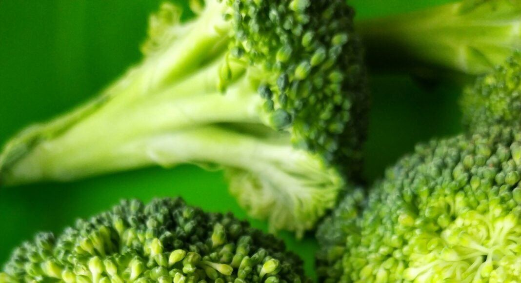 Is Broccoli Keto? Broccoli on a Keto Diet: Tips, Recipes, and Substitutes