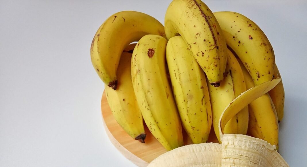 Bananas Could Change Forever Due to Growing Threats – One Green Planet