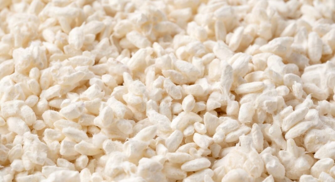 How One Company is Revolutionizing Vegan Cheese with Fermentation – One Green Planet