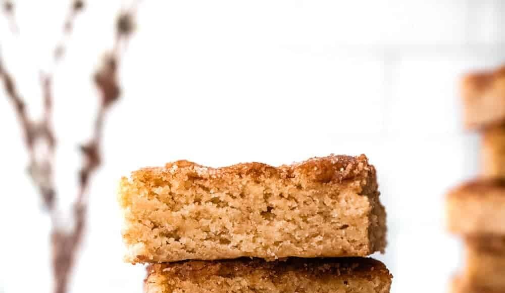 Stack of Snickerdoodle Bars