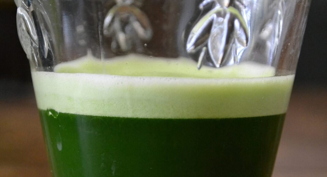 Green Fruit Smoothie With Wheatgrass Juice [Vegan] – One Green Planet