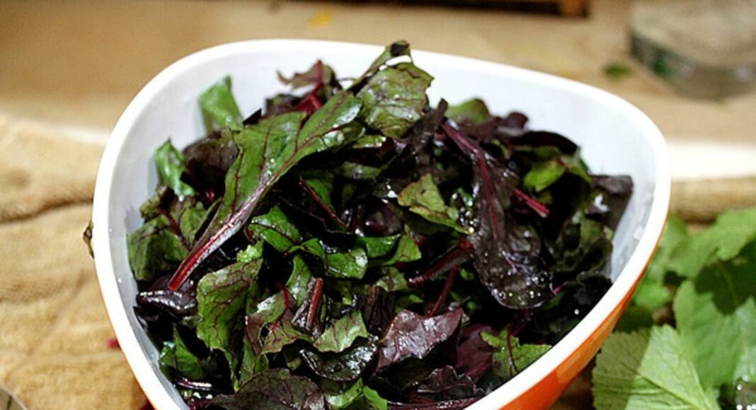 Essential Tips and Tricks for To Turn Bitter Greens into Delicious Dishes! – One Green Planet