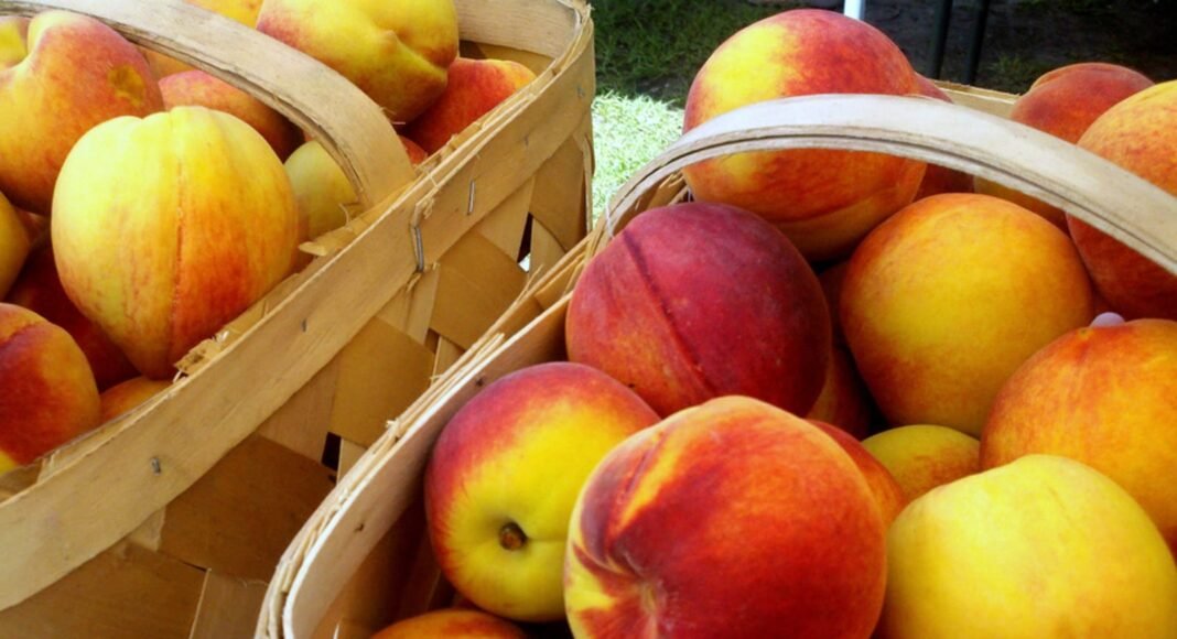 Ways To Enjoy 5 Delicious Summer Produce That Are Soon To Be In Season – One Green Planet