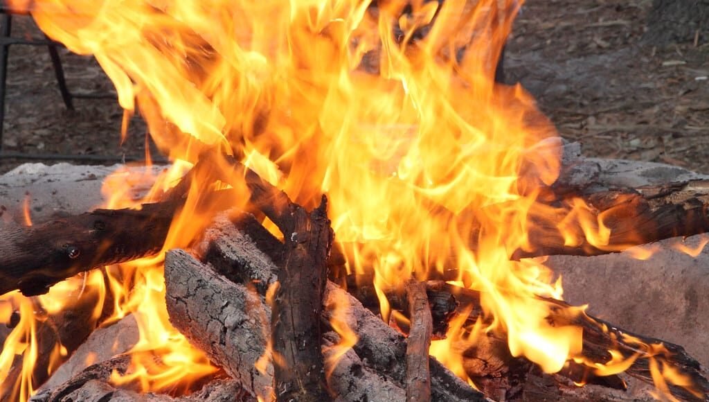 6 Easy Tips for Quick Plant-Based Campfire Cooking! – One Green Planet