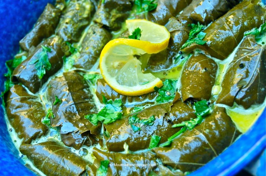 Stuffed Greek Vine Leaves [Vegan] – One Green Planet