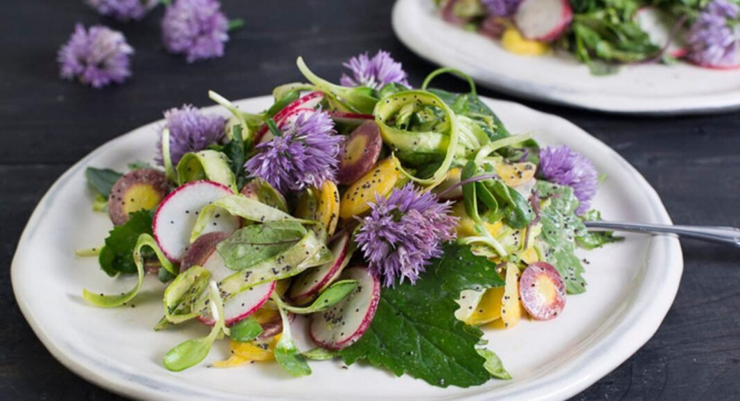 15 Super Light and Refreshing Salads You’ll Love This Summer! – One Green Planet