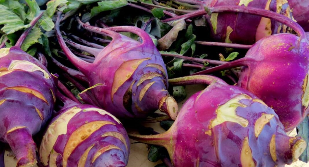 10 Under-Appreciated Veggies You Need to Add to Your Diet! – One Green Planet