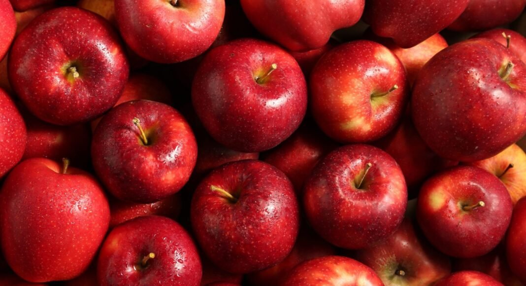 These Fruits Pack More Fiber Than an Apple – One Green Planet