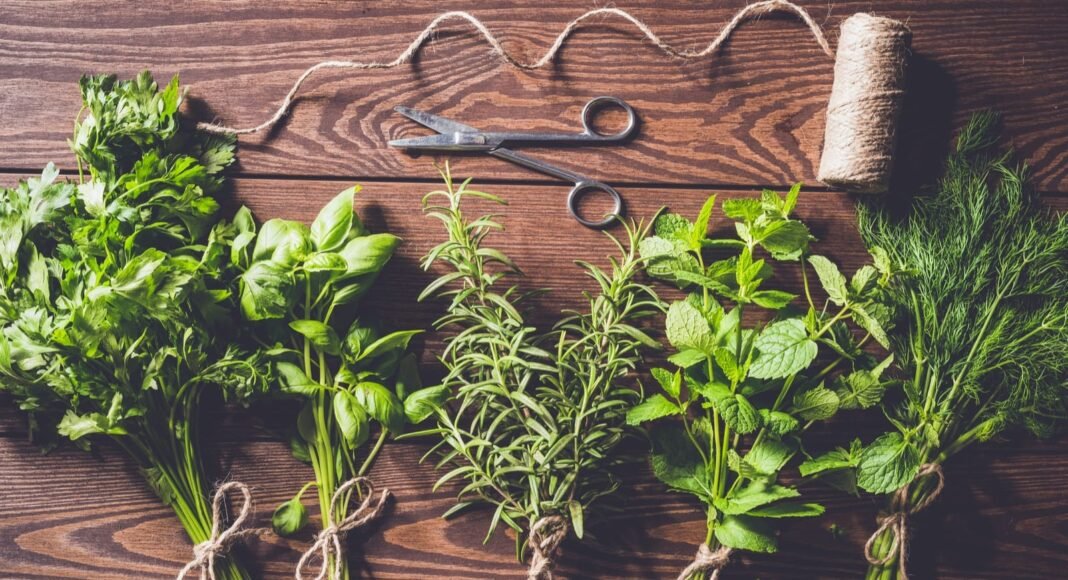 5 Essential Autumn Herbs for Cozy Cooking! – One Green Planet