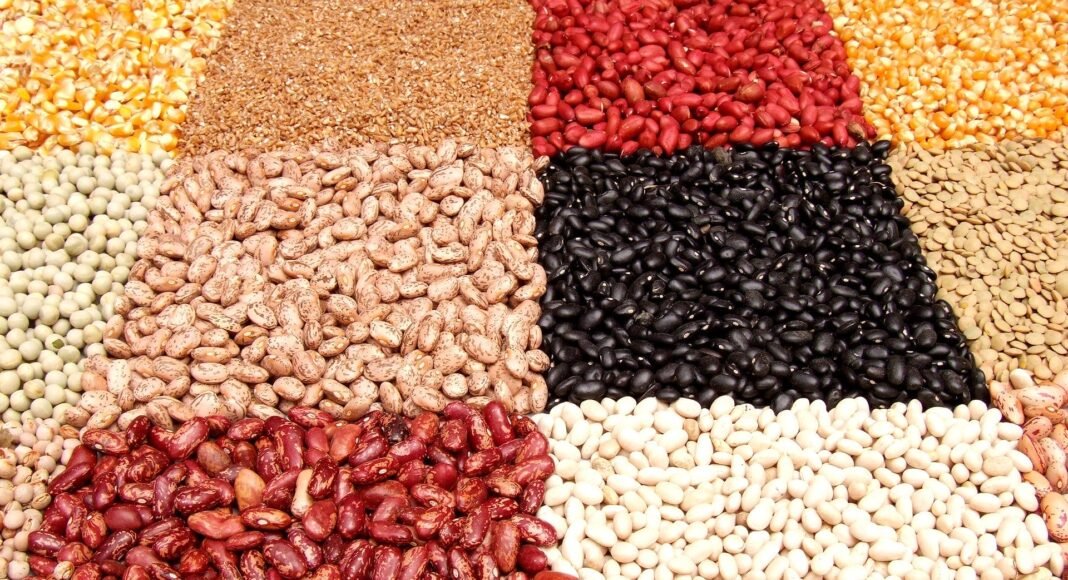 Exploring the High-Protein, Healthy Profile of Legumes with Recipes – One Green Planet