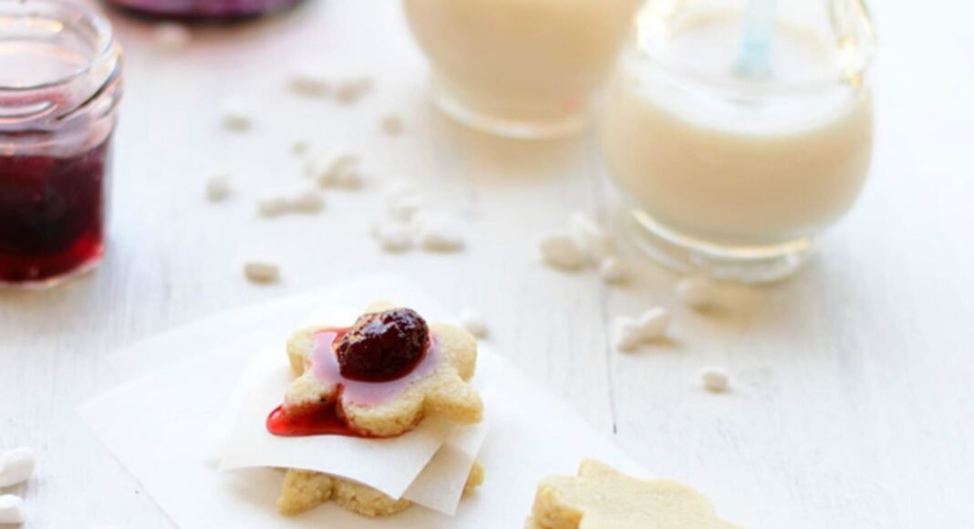 10 Vegan Cookies and Milk Combos Santa Will Love! – One Green Planet