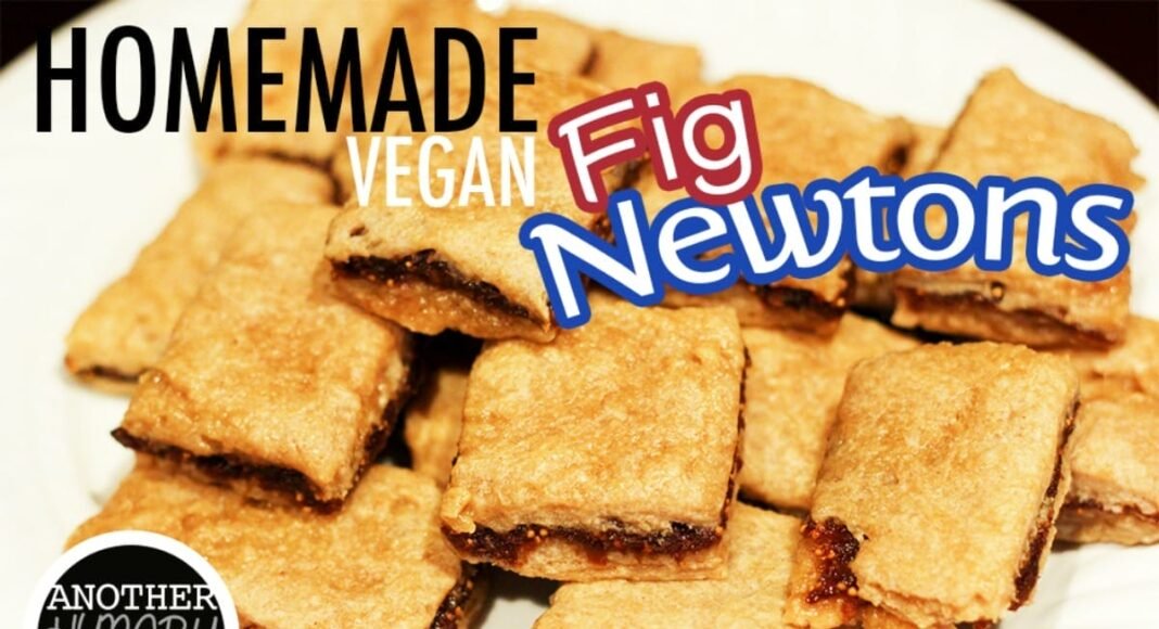 Homemade Vegan Fig Newtons – One Green Planet